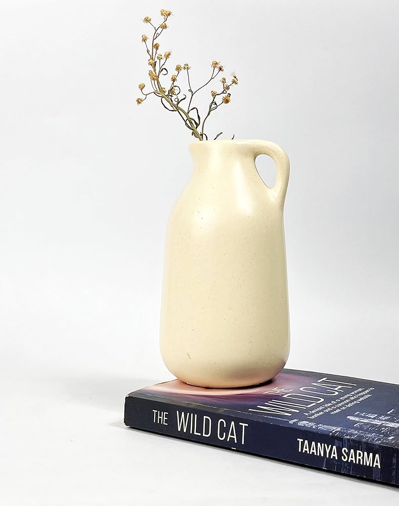 Mesmerizing Decorative Jug Shaped Ceramic Vase