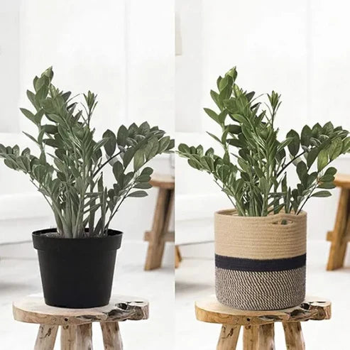 Rustic Charm Beige & Black Cotton Planter & Organizer