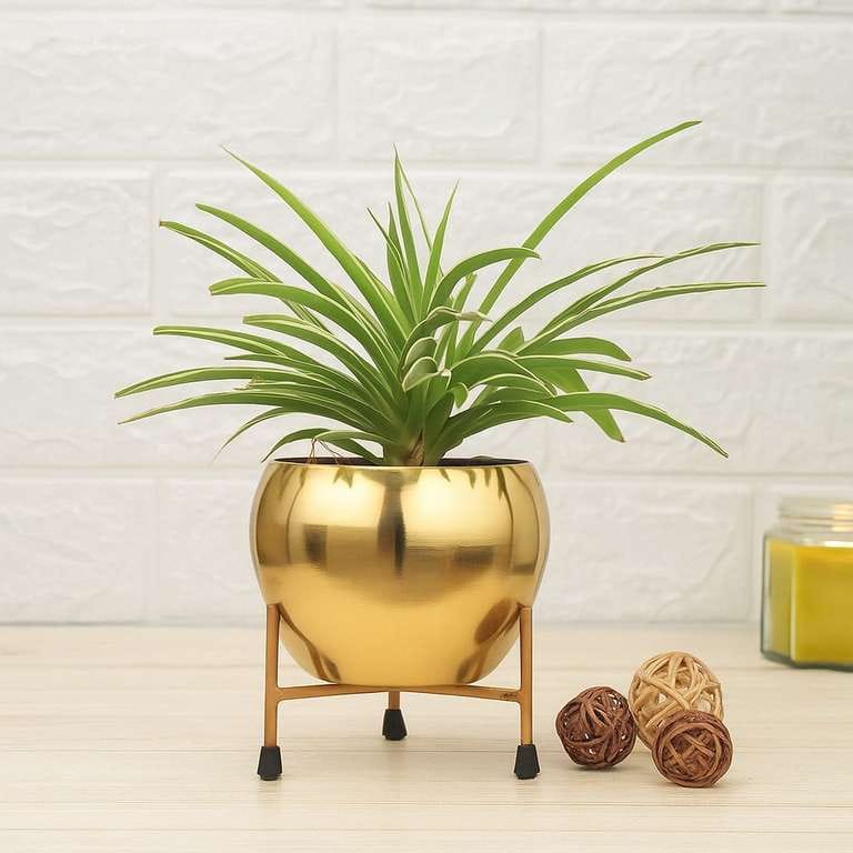 Golden Metal Planter Stand For Indoor & Outdoor Use