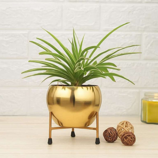 Golden Metal Planter Stand For Indoor & Outdoor Use