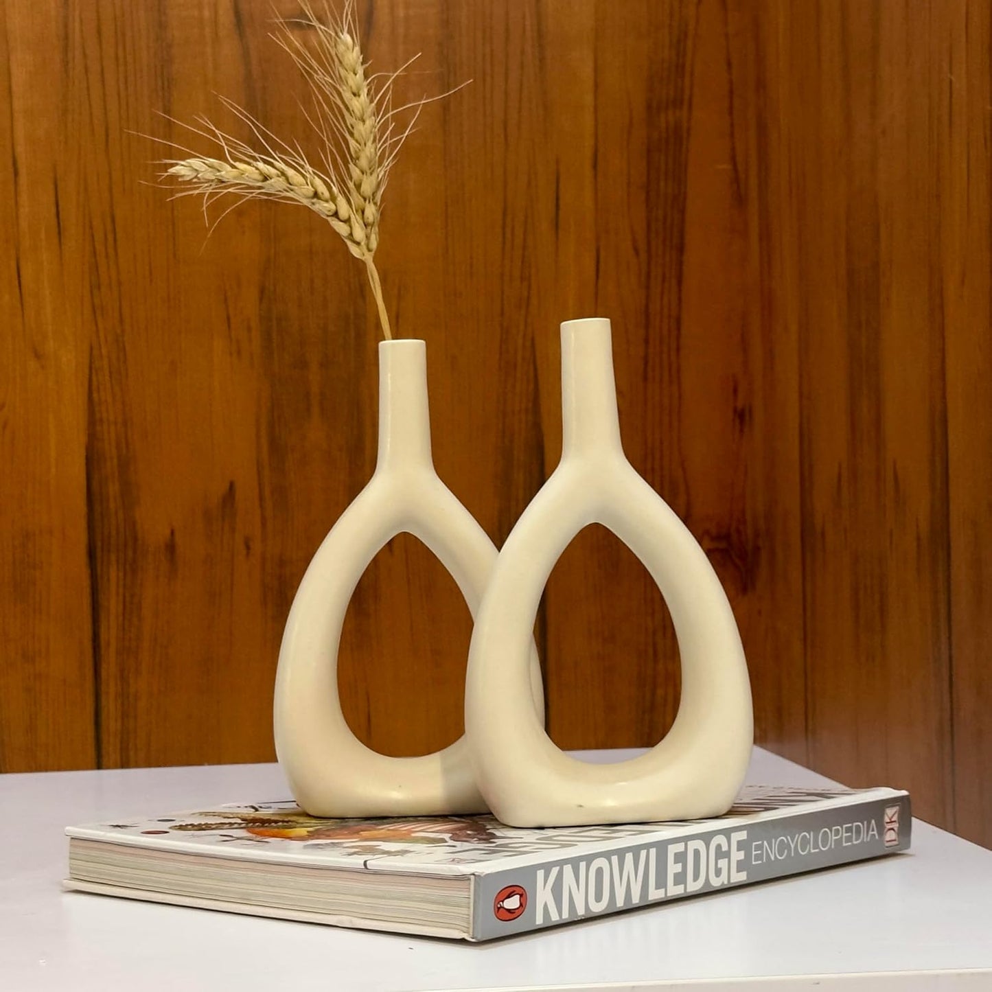 Unique Hollow Vase Design for living room