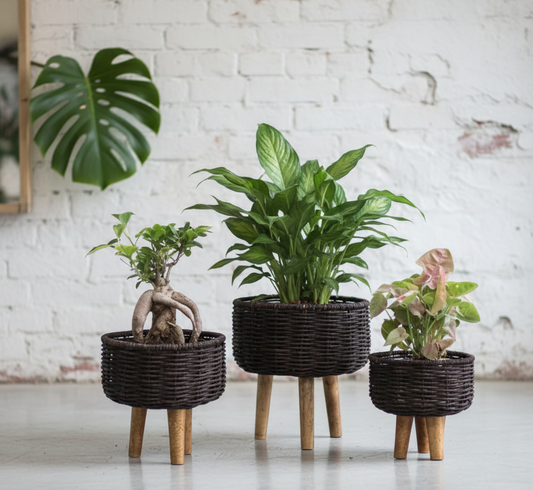 Eco-Friendly Black & Red Jute Planter - Set of 3
