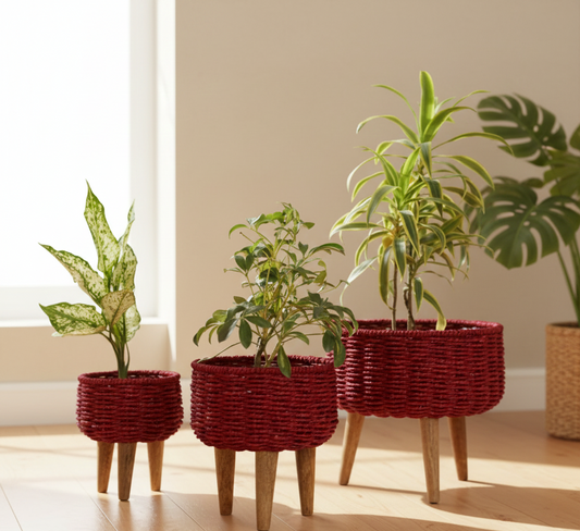 Eco-Friendly Black & Red Jute Planter - Set of 3