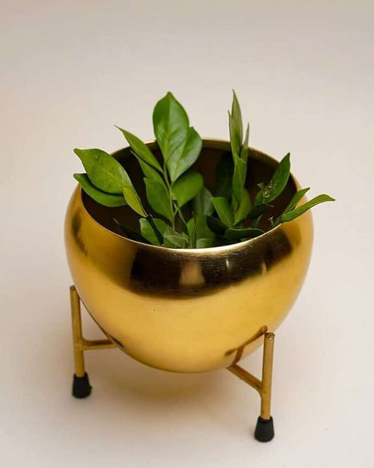 Golden Metal Planter Stand For Indoor & Outdoor Use